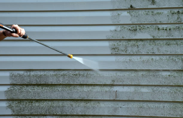Best Vinyl Siding Pressure Washing in Oolitic, IN